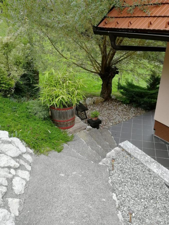Issy View House Villa Senovo Exterior photo